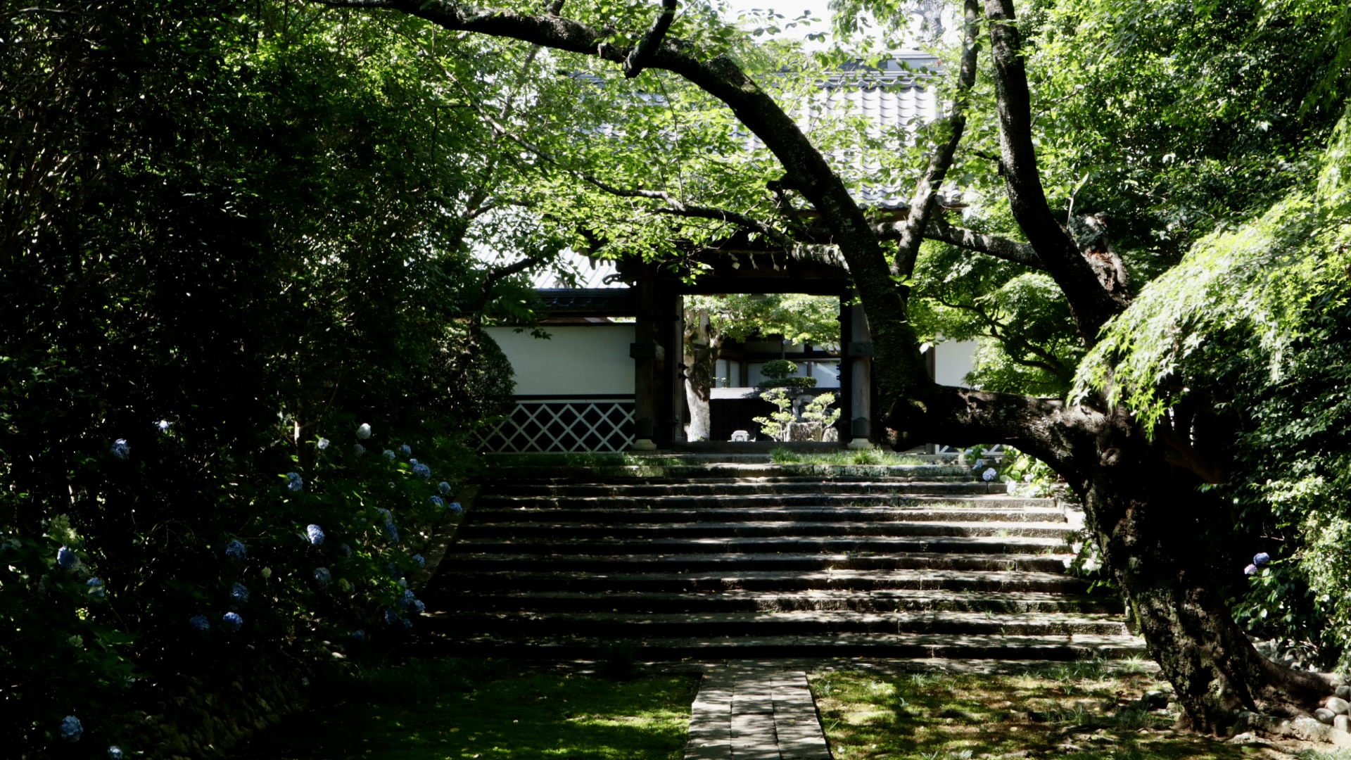 医王寺の石段と山門