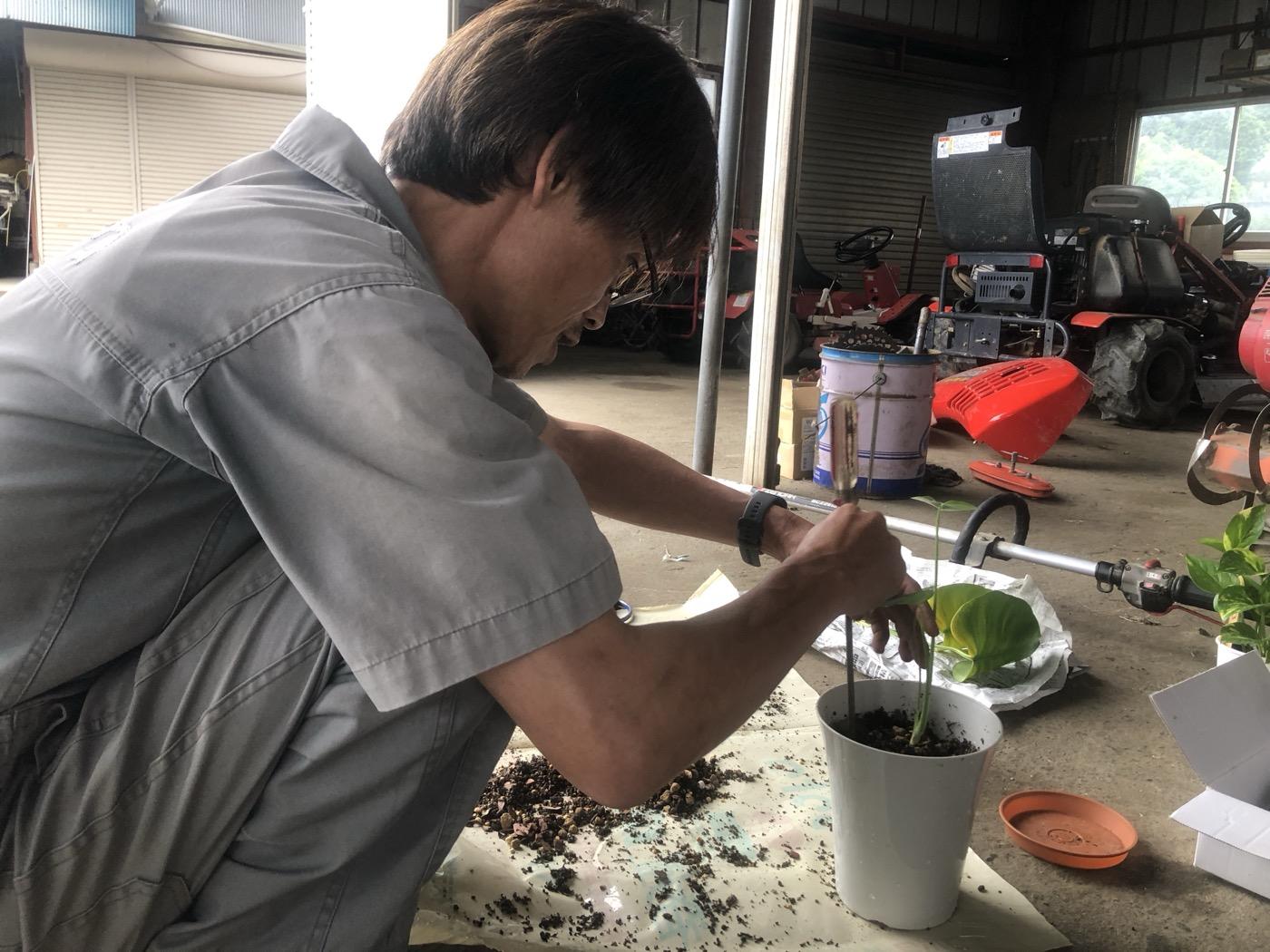 整備士さんが観葉植物を新しい鉢に植え替えている様子