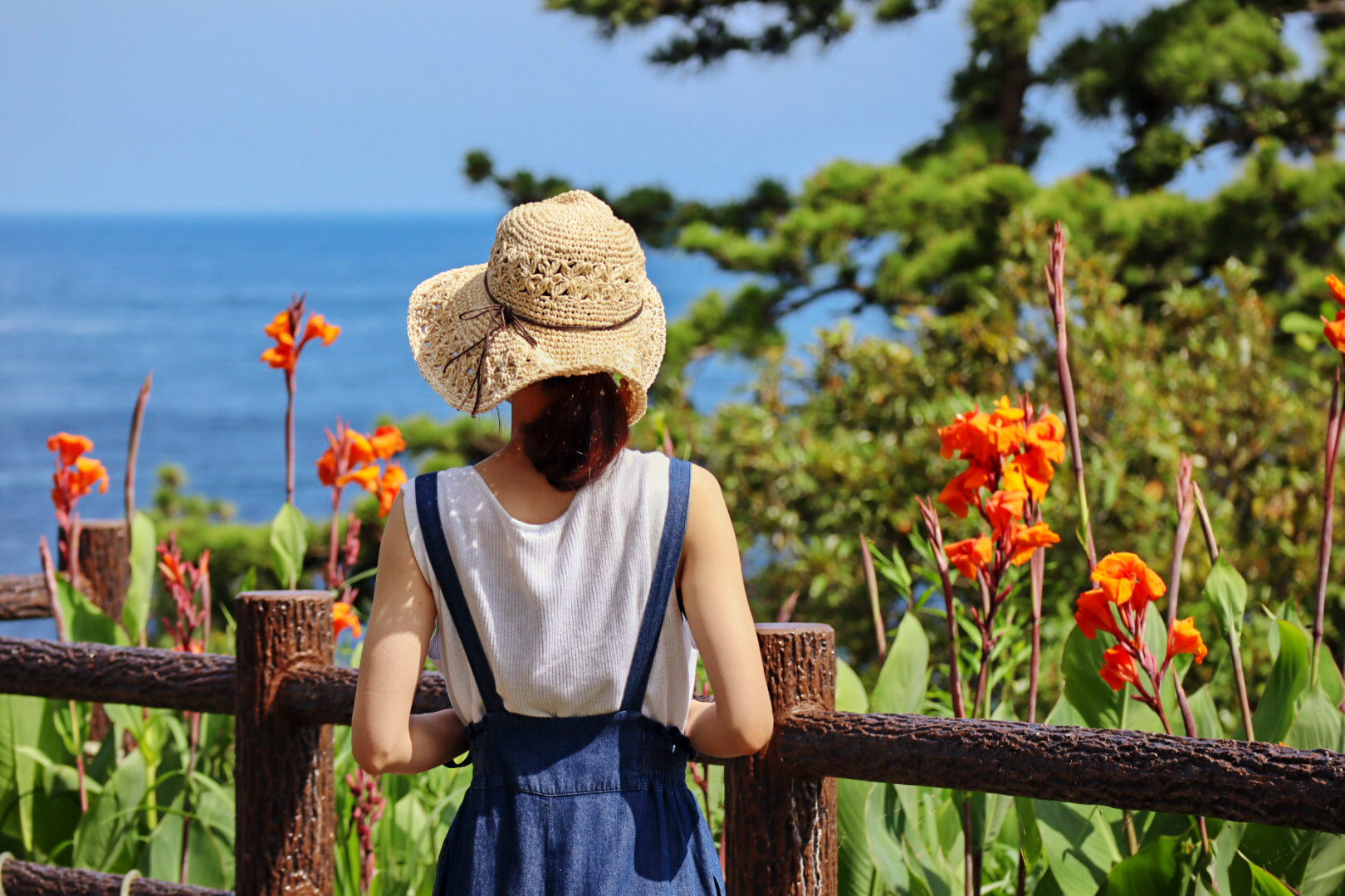 海の見える散策路で麦わら帽子をかぶって花を眺める後ろ姿