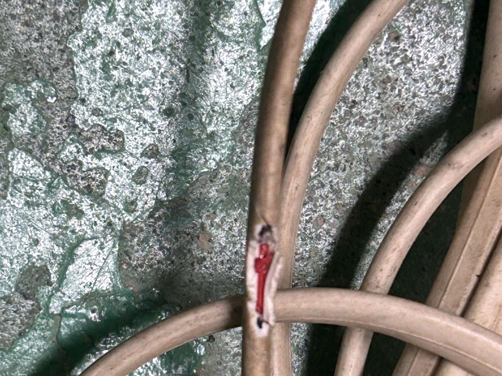 ネズミにかじられて外皮が破れ、中の赤い線が見えている農機具の配線